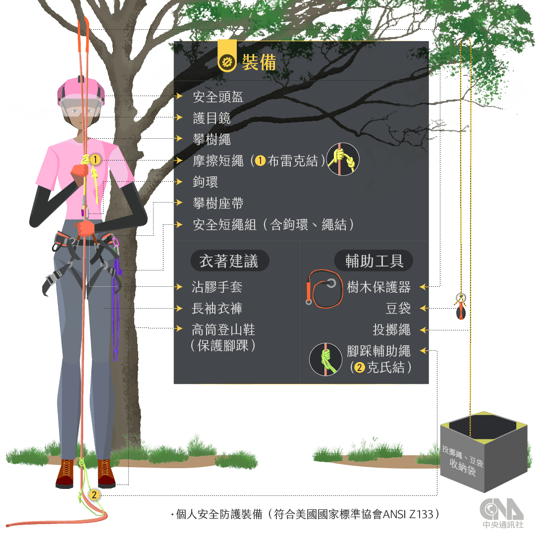 基本攀樹裝備